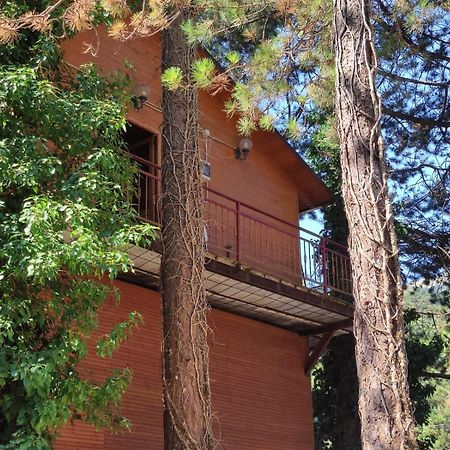 Hotel Toni Llogora Dukat エクステリア 写真