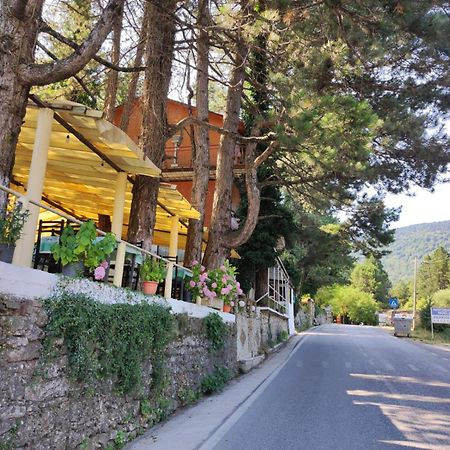 Hotel Toni Llogora Dukat エクステリア 写真