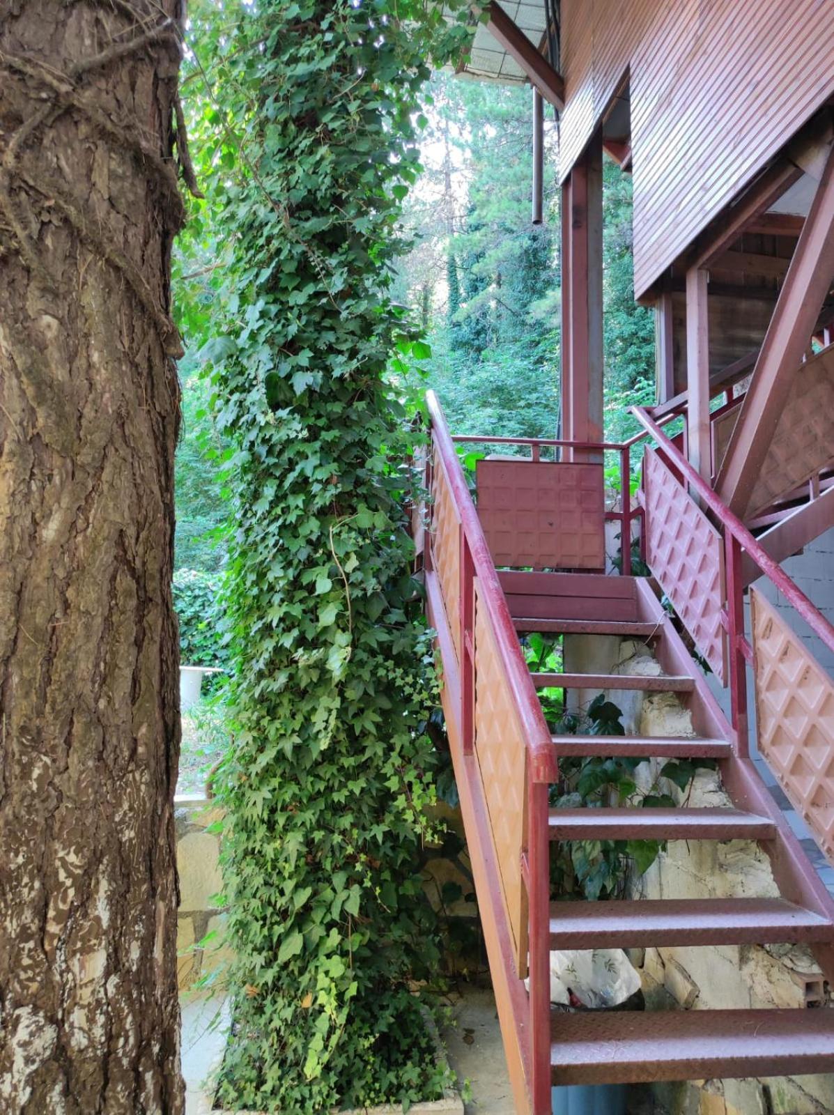Hotel Toni Llogora Dukat エクステリア 写真