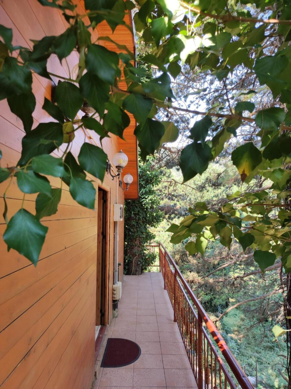 Hotel Toni Llogora Dukat エクステリア 写真